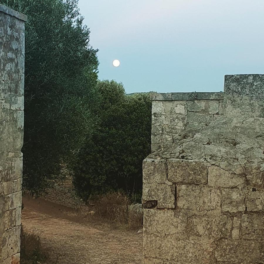 Bed and Breakfast La Guendalina Masseria E Casa Particular à Monopoli Extérieur photo